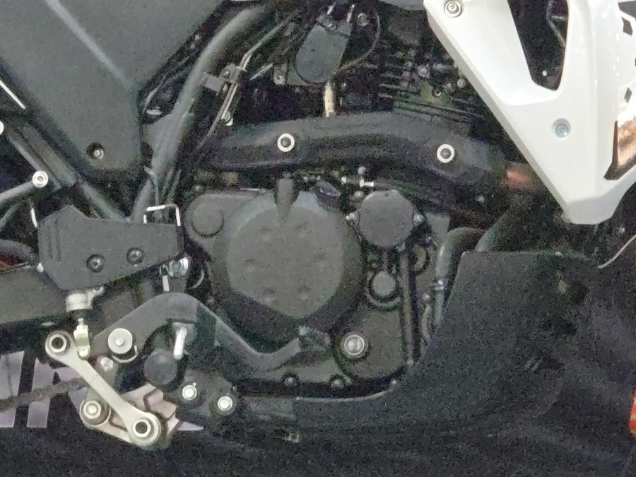 2025 Kawasaki KLR 650 Base