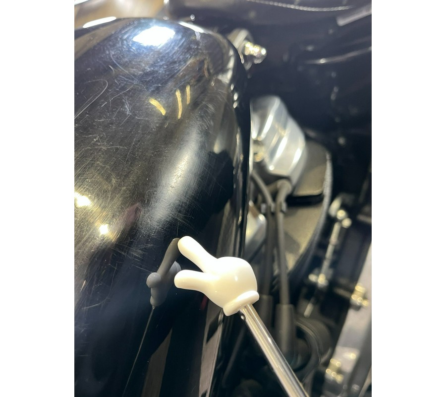 2020 Harley-Davidson Softail® Standard