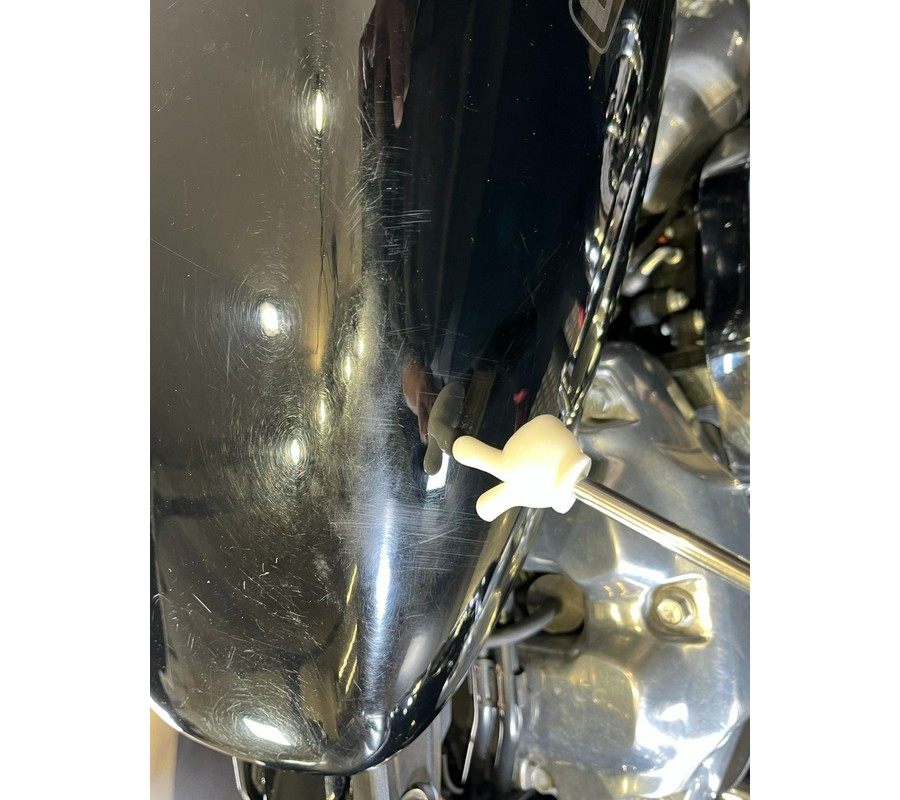 2020 Harley-Davidson Softail® Standard