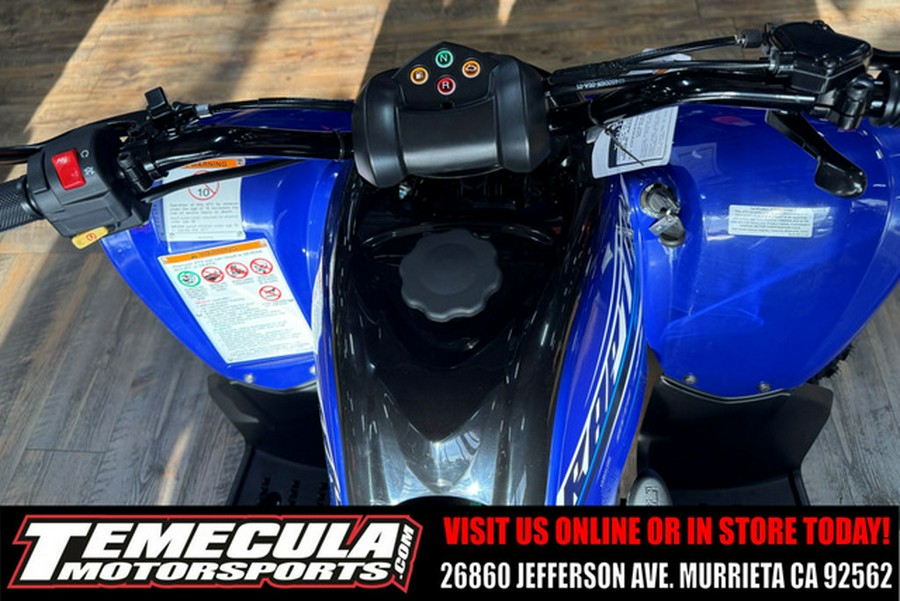 2026 Yamaha Raptor 110