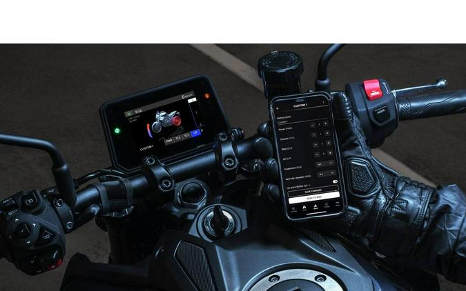 2024 Yamaha Motor Corp., USA MT-09