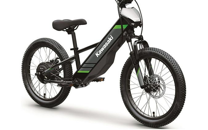 2025 Kawasaki Elektrode 20