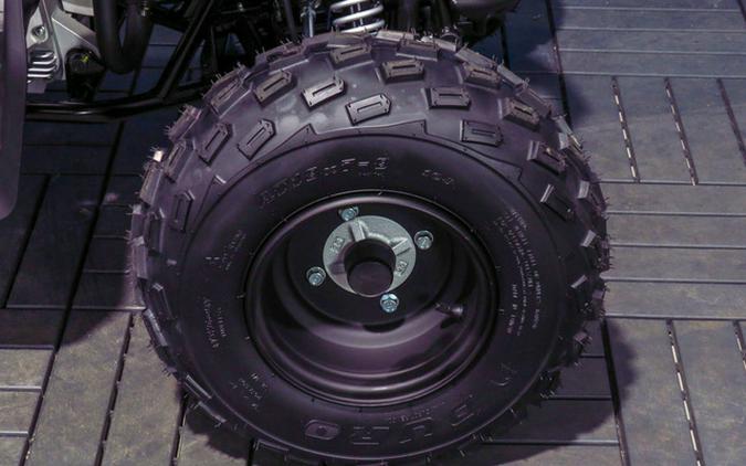 2026 Yamaha Raptor 110