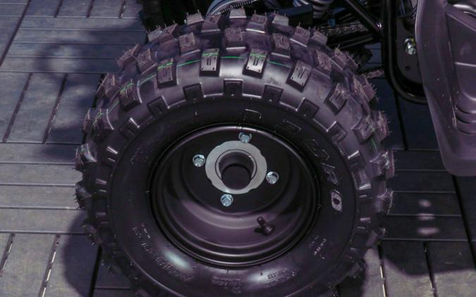 2026 Yamaha Raptor 110