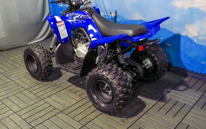 2026 Yamaha Raptor 110