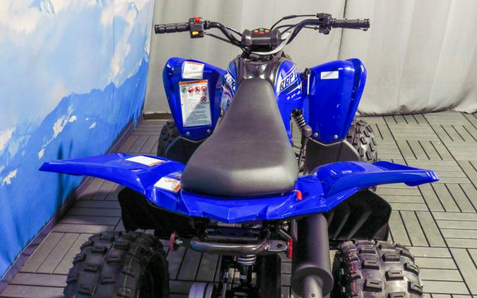2026 Yamaha Raptor 110