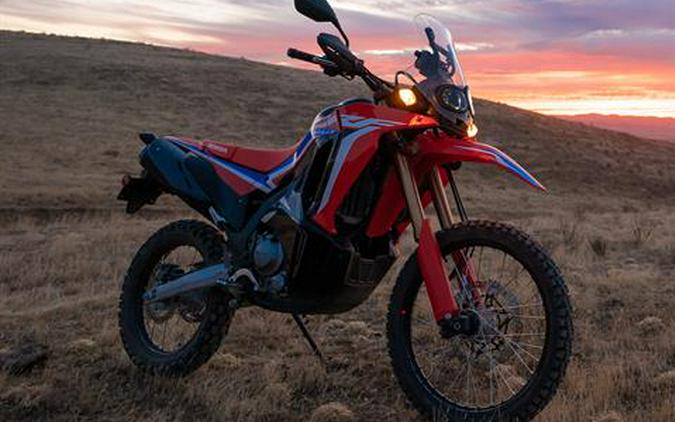 2022 Honda CRF300L Rally ABS