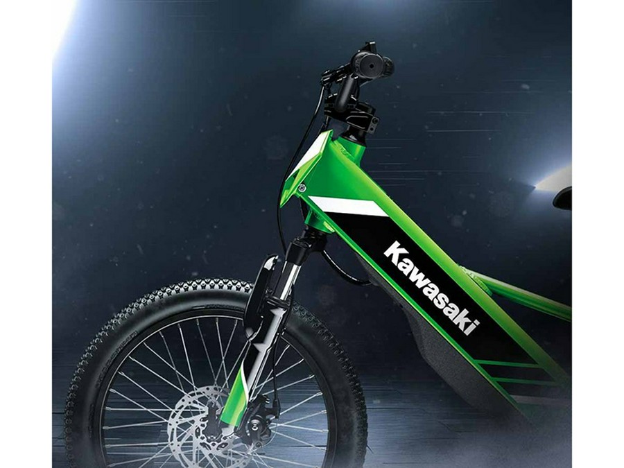 2025 Kawasaki Elektrode 20