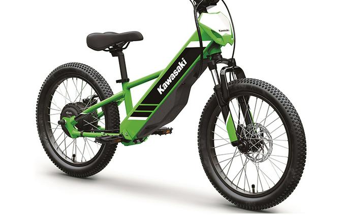 2025 Kawasaki Elektrode 20