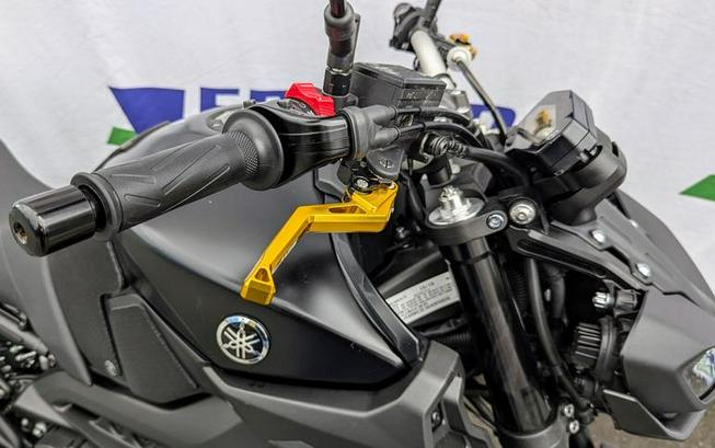 2019 Yamaha MT-09