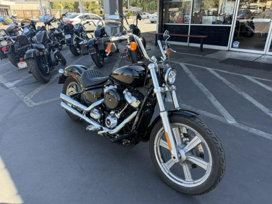 2023 Harley-Davidson® FXST - Softail® Standard