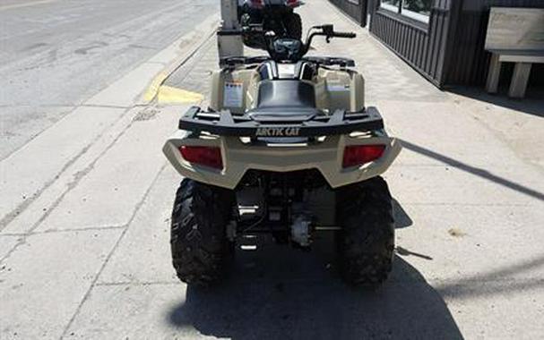 2023 Arctic Cat Alterra 300