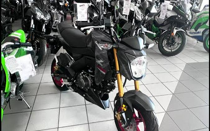2024 Kawasaki Z125 Pro