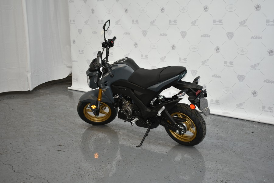 2024 Kawasaki Z125 PRO Base