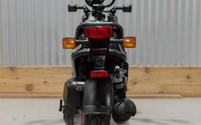 2024 Honda Ruckus