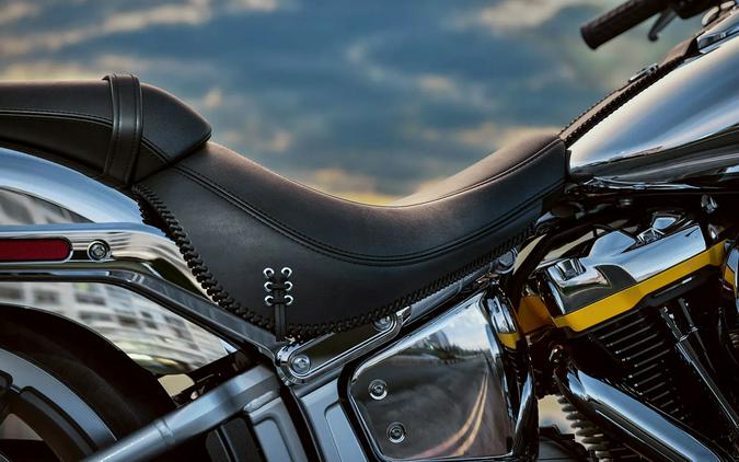 2025 Harley-Davidson Fat Boy® Gray Ghost
