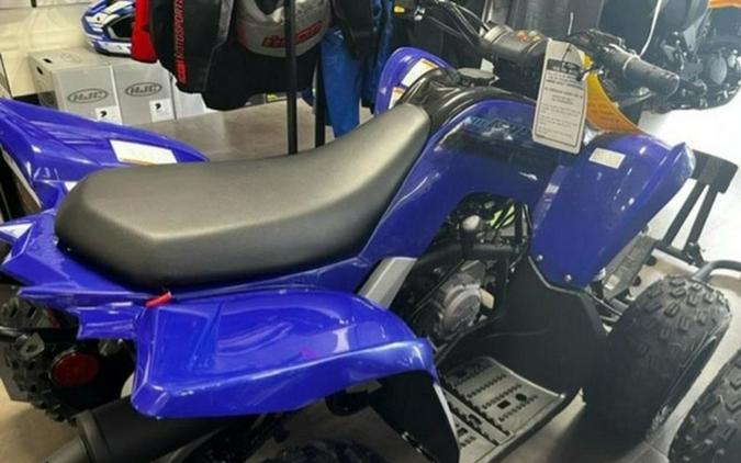 2024 Yamaha Raptor 110