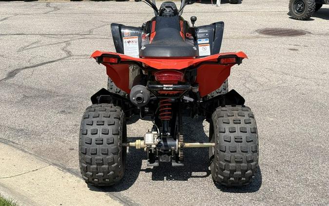 2024 Can-Am DS 250