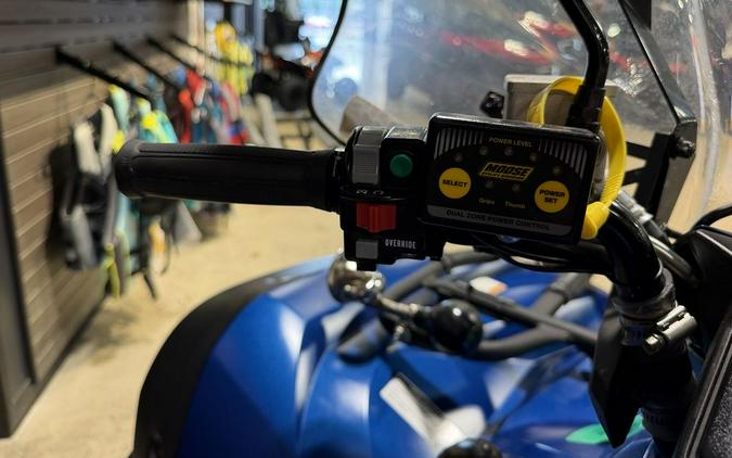 2019 Yamaha Grizzly EPS SE