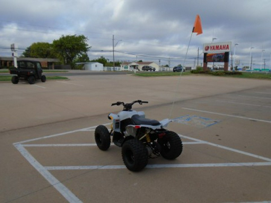 2023 Can-Am Renegade 110 EFI