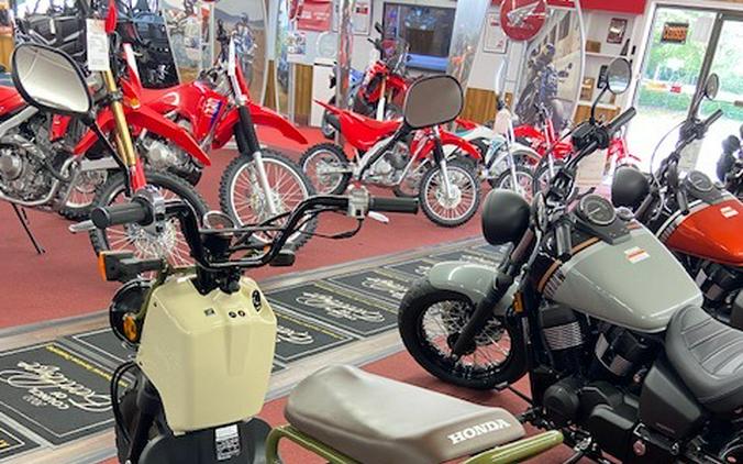 2024 Honda Ruckus