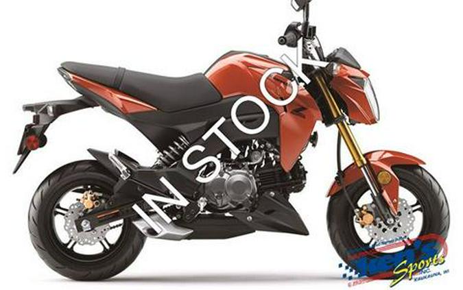 2025 Kawasaki Z125 Pro