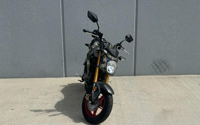 2026 Kawasaki Z125 PRO
