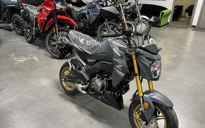 2024 Kawasaki Z125 PRO