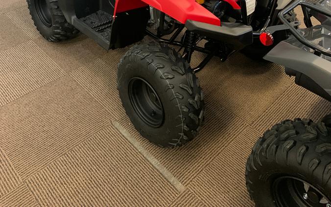 2025 Yamaha Grizzly 110