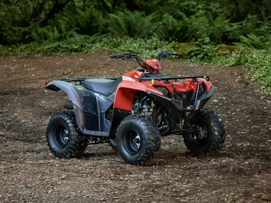 2025 Yamaha Grizzly 110