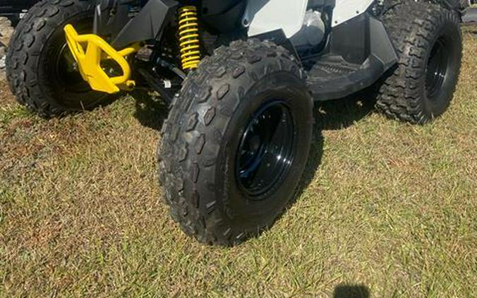 2026 Can-Am Renegade 110 EFI