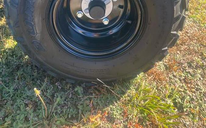 2026 Can-Am Renegade 110 EFI