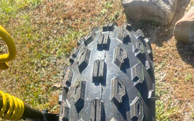 2026 Can-Am Renegade 110 EFI