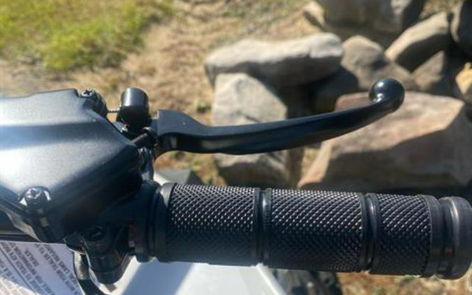 2026 Can-Am Renegade 110 EFI