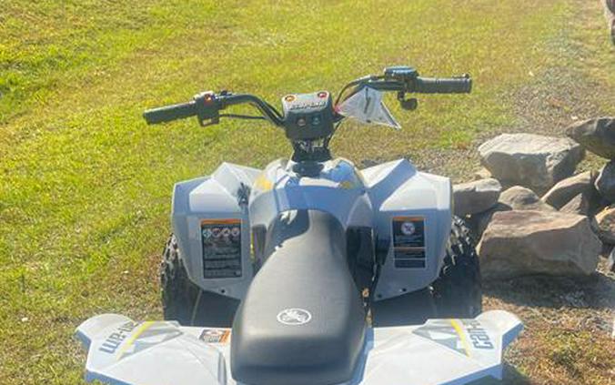 2026 Can-Am Renegade 110 EFI