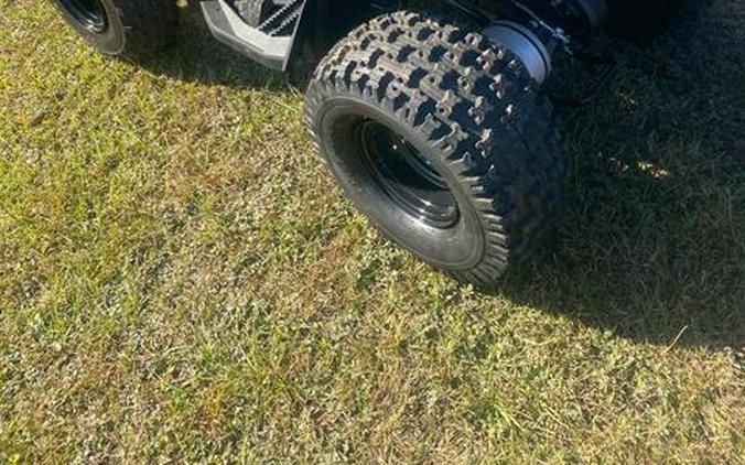 2026 Can-Am Renegade 110 EFI