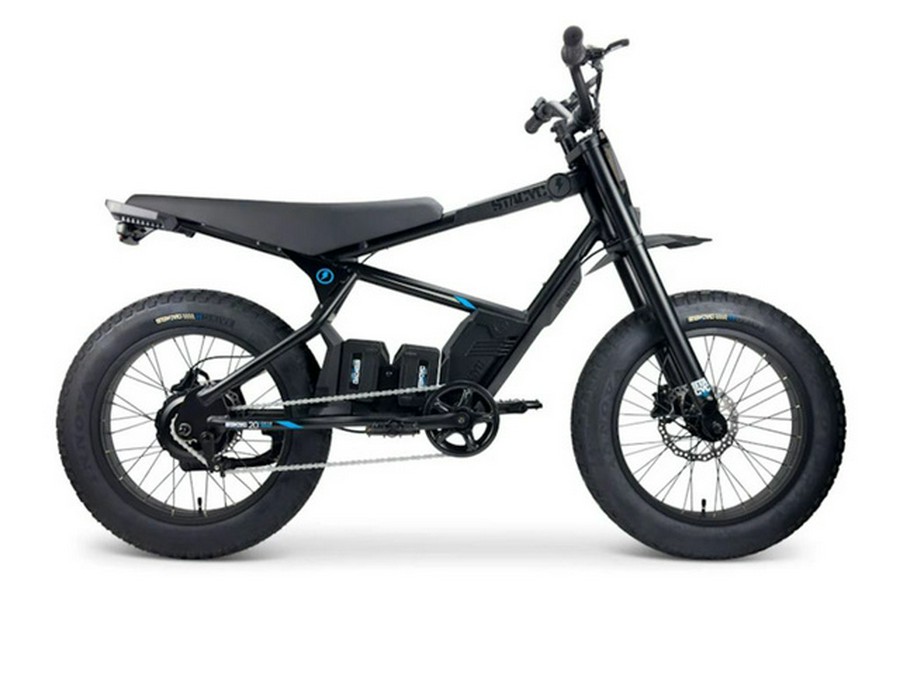 2025 Stacyc 20Hdrive