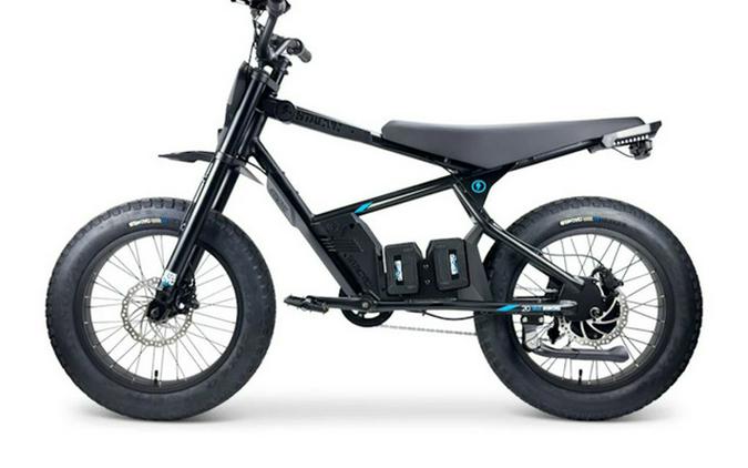 2025 Stacyc 20Hdrive