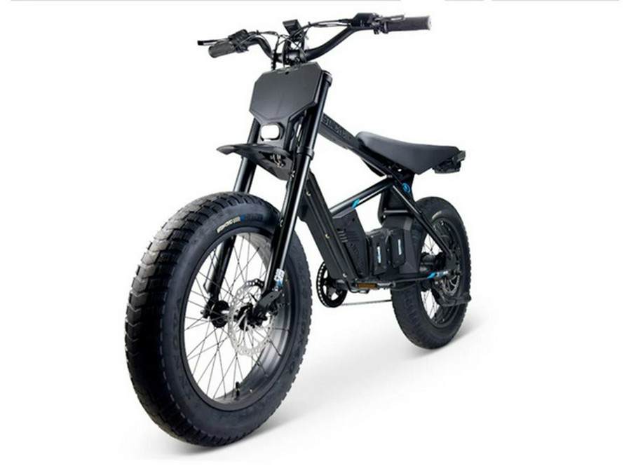 2025 Stacyc 20Hdrive