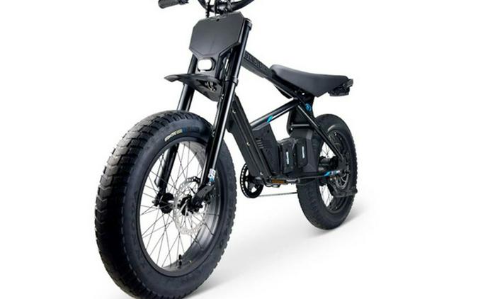 2025 Stacyc 20Hdrive