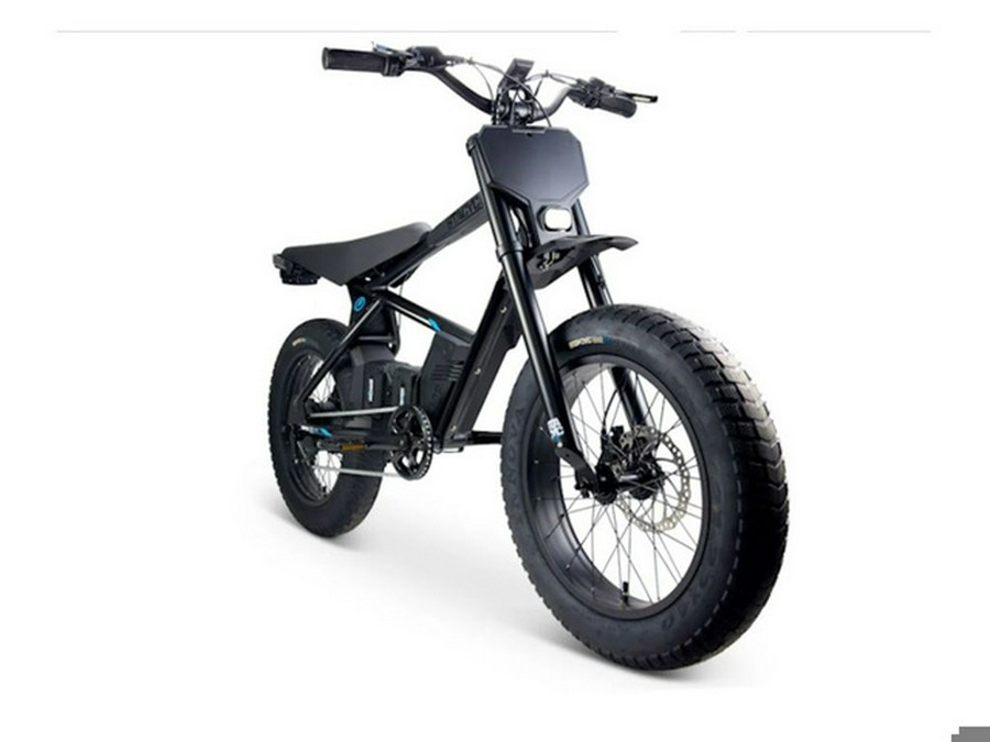 2025 Stacyc 20Hdrive