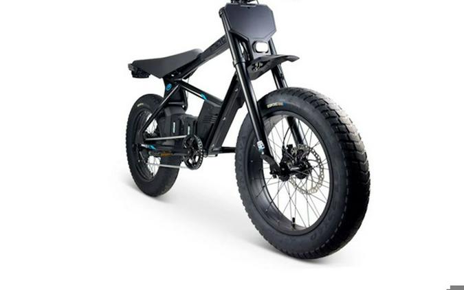 2025 Stacyc 20Hdrive