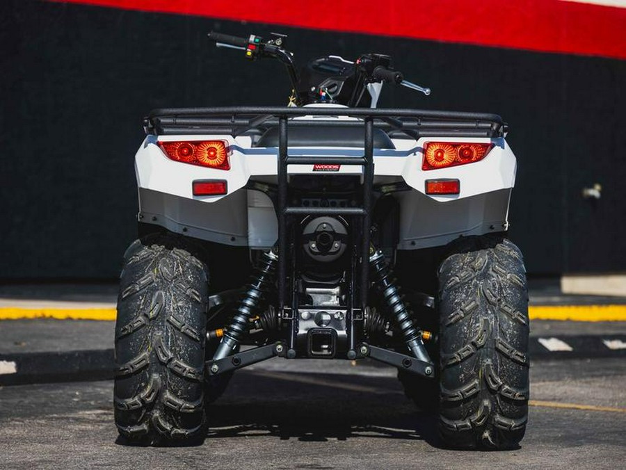 2025 Kawasaki Brute Force® 450 4x4