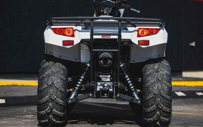2025 Kawasaki Brute Force® 450 4x4