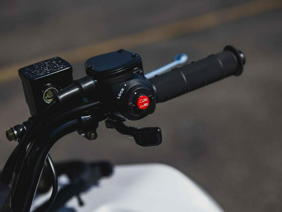 2025 Kawasaki Brute Force® 450 4x4