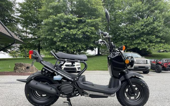 2024 Honda Ruckus