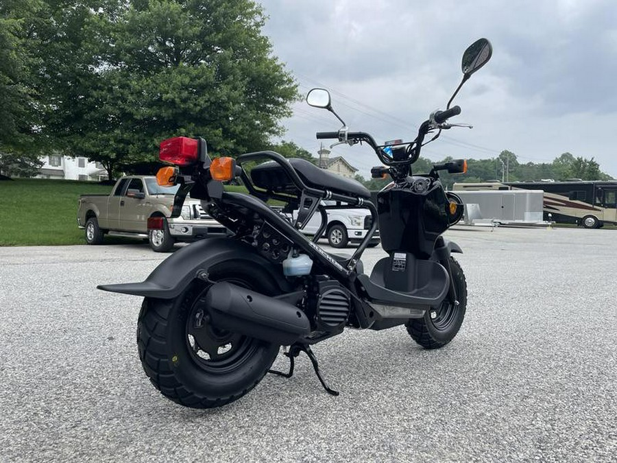 2024 Honda Ruckus