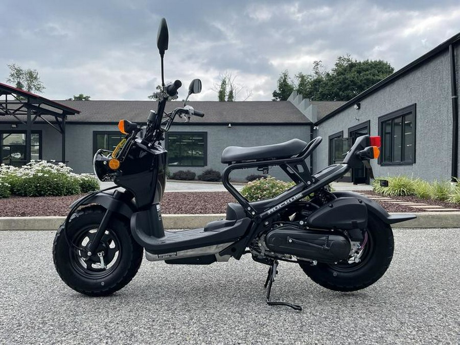 2024 Honda Ruckus