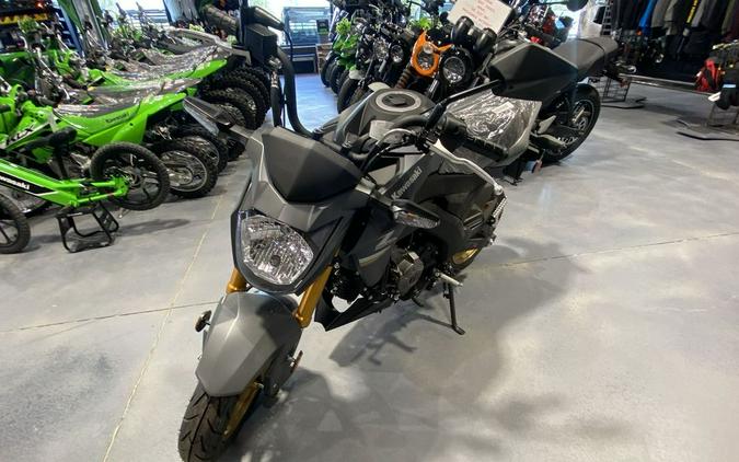 2024 Kawasaki Z125 PRO