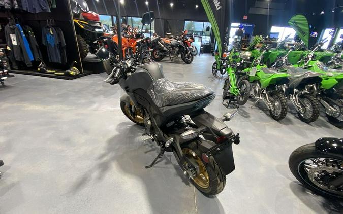 2024 Kawasaki Z125 PRO